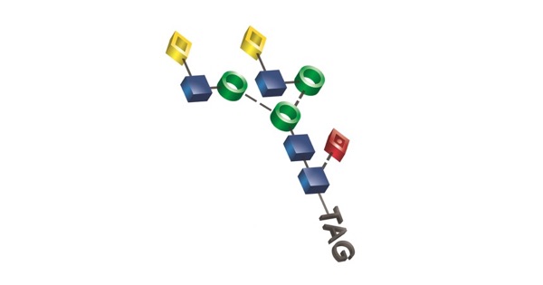 Protocol illustration image 2